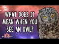 What does it mean when you see an Owl