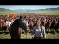 Lagu Sie rettete ein Pferd – was am nächsten Morgen mit 200 Pferden geschah, schockierte alle