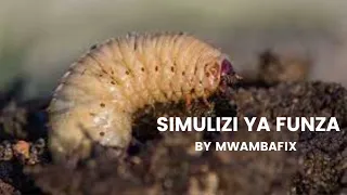 SIMULIZI MPYA YA FUNZA 11 I SIMULIZI YA KUSISIMUA I Mwambafix 