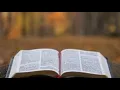 PROVERBS CHAPTER 30 NLT READING