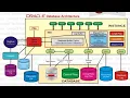 Lec-4 1 Oracle Database between Oracle Database and Oracle Instance DBA CH
