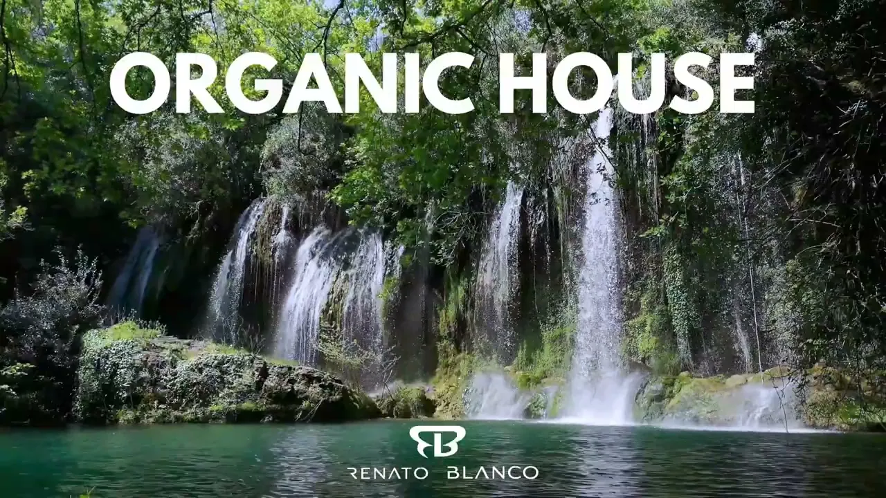 ORGANIC HOUSE | 2026 🌴