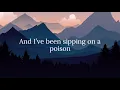 Max Mcnown - Night Diving (lyrics)