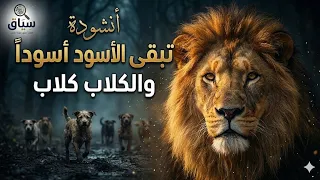 أقوى ما قال الامام الشافعي  في عزة النفس  دندنها
