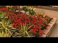 The Urban Designer Garden at Hicks Nurseries Annual Flower Garden Show 2021