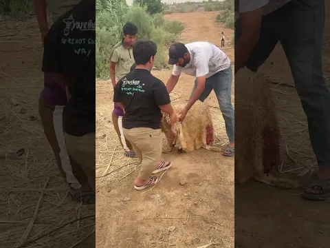 تحوير من صخل لى طلي #حملة_مليون_مشترك_قناة_فريق_فن_النجوم