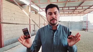 مشروع ربط العجول افضل طريقه من الصفر وشكد يكلف  أغنام  عجول دندنها