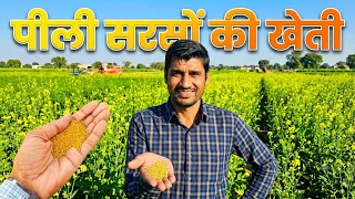 पीली सरसों की खेती | Yellow Mustard Seeds Selection & Sowing Guide