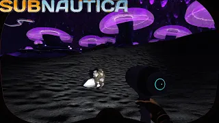 Subnautica How to find Diamonds early and the location of the Degasi Seabase Habitat 250m