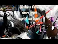 Download Lagu Masteran Cililin suara jernih,ngotot tajam dg volume pedes🌶