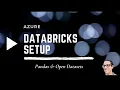 Azure Databricks with Pandas and Open Datasets