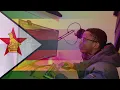 Used CSS to Design a Flag - Zimbabwe Flag