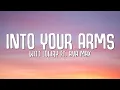 Witt Lowry - Into Your Arms (Lyrics) ft. Ava Max