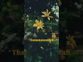 Download Lagu entha poovilum vasam und 🌻🎶|Instagram trending song| #song #music #tamil #tamiloldsongs