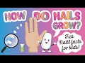How Do Nails Grow Fun Nail Facts for Kids Science for Kids
