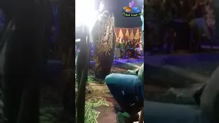 فيروز عبدالله عز الجمر 2016 