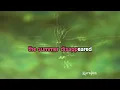 Watermelon Moonshine - Lainey Wilson | Karaoke Version | KaraFun