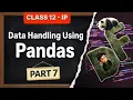 DataFrame Indexing and Slicing in Pandas Class 12 Informatics Practices Unit 1 Part 7