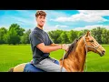 Download Lagu Mein 1. Mal Reiten