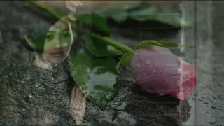 Nếu mai ngày