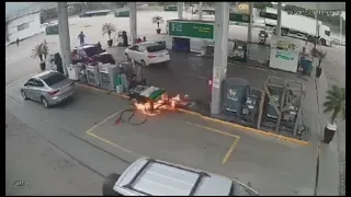                                                                         دندنها