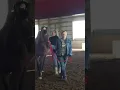 Boy with Down syndrome rides horse