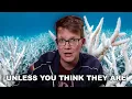 Coral Reefs Are Not Doomed