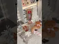 Decorate my room with me for christmas