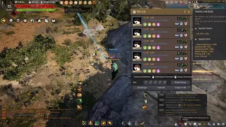 GameZ BDO - Hedgehog not gathering