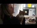 Worcester County Humane Society Pet Nation Renovation