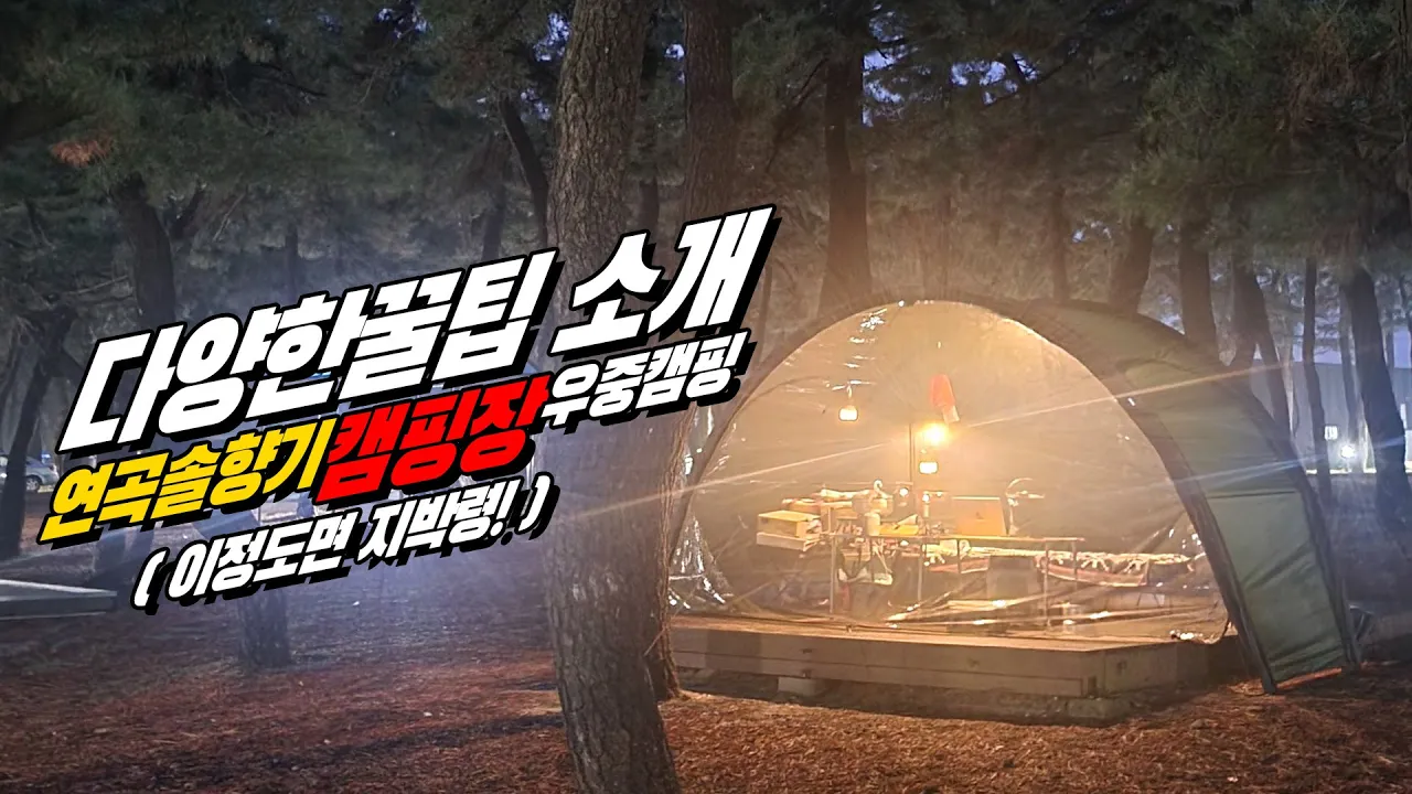 우중캠핑 연곡 솔향기 캠핑장    #솔로캠핑 #우중캠핑 #캠핑장 #오토캠핑 #camping #현실캠핑 #터널텐트 サムネイル