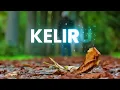 Ruth Sahanaya - Keliru || Lirik