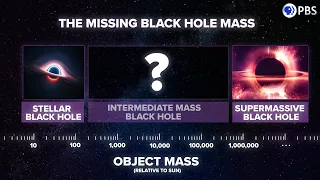 Download Did JWST SOLVE The Mystery of Supermassive Black Hole Origins MP3