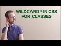 wildcard in CSS for classes