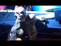 Lake Winnie Halloween 2025 Clown House walk house ride through
