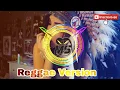 Download Lagu Maroon 5 - Girls Like You (Reggae Version)