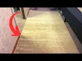 2 Things I Like About the Safavieh Adirondack Area Rug