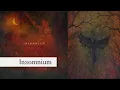 Insomnium - Drawn to Black