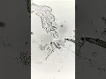 Download Lagu Bro looks at a drop of sweat under a microscope! Crazy find!