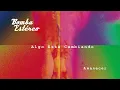 Bomba Estéreo - Algo Está Cambiando (Cover Audio)