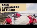 Kisah Bego Terdampar Di Pulau❗️