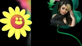 ش م س وبحر ورم ل وحتى زگريآتي م عآگ دندنها