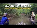 Akhirnya di temukan..!! Sarang ikan gurami di sungai yang lagi viral 