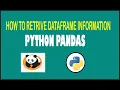 Python Pandas How To Retrieve 10 DataFrame Information