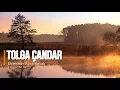 tolga çandar | eklemedir koca kavak