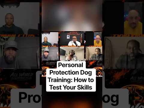 Personal Protection Dog Training: How to Test Your Skills #dogs