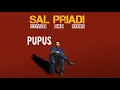 Lagu Pupus - Sal Priadi