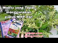 Lagu Waktu Yang Tepat Menggunakan Pupuk MKP dan KNO3 Untuk Pohon Alpukat