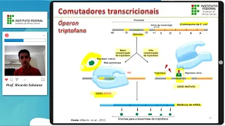 Controle da expressão gênica