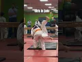 Download Lagu Toughest Judo girl in Kentucky #comedy #amazing #kids